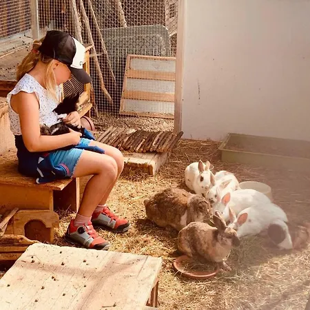 Hopfgarten Familotel Tirol فندق هوبفغراتن إم بريكسنتال