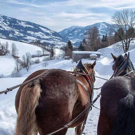 Hotel Hopfgarten Familotel Tirol 4*